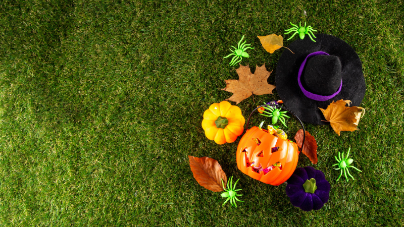 Halloween Events and Family-Friendly Fun in Tulsa | Solid Rock Realtors